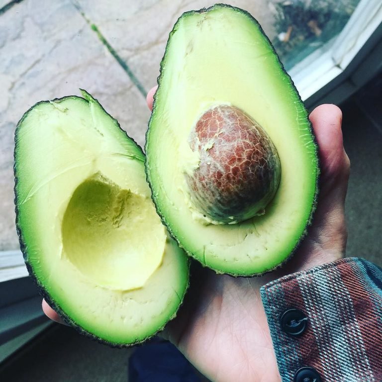 Read more about the article Avocado Fries