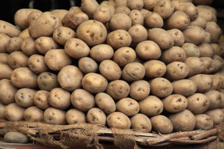 Read more about the article Gluten-free Potato Cutlets