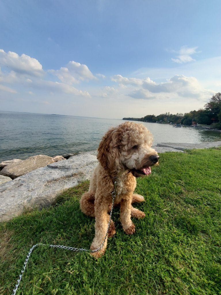 Read more about the article 8 Reasons to Get Outside