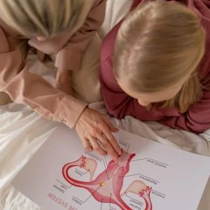 A diagram of the uterus + fallopian tubes + ovaries + cervix in pink with a white-skinned and blonde-haired mother daughter duo looking at it