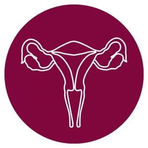 white background with a magenta circle and a diagram of the uterus and ovaries in white