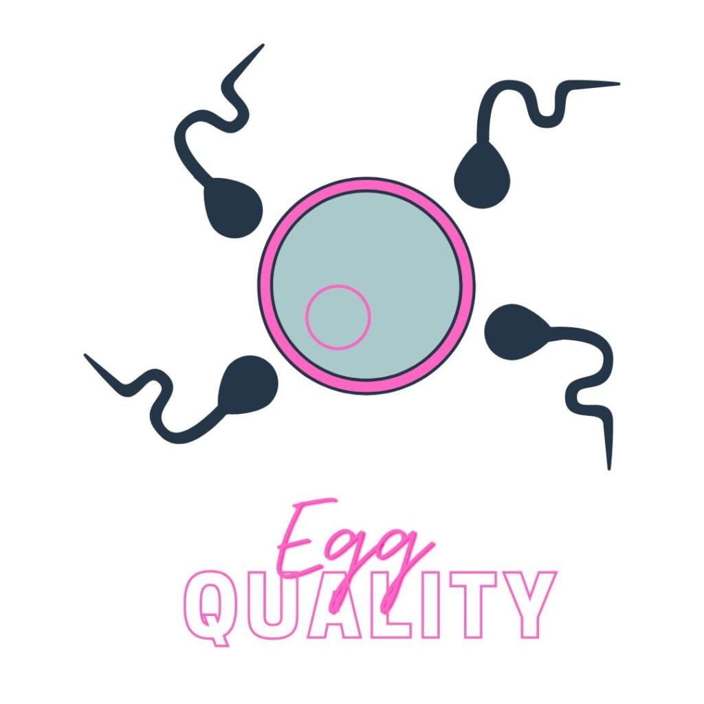 A circular clip art egg in the centre (pink circumference border and blue inner) surrounded by 4 sperm. The words "egg quality" in hot pink are underneath.
