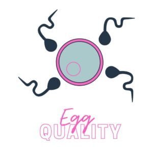 A circular clip art egg in the centre (pink circumference border and blue inner) surrounded by 4 sperm. The words "egg quality" in hot pink are underneath.
