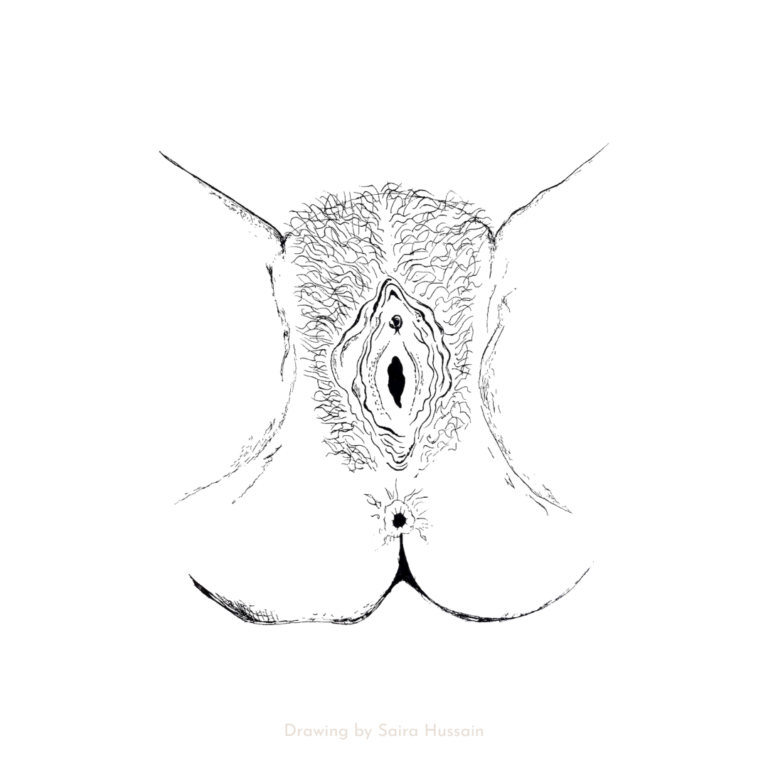 Read more about the article Reproductive Anatomy 101: The Vulva