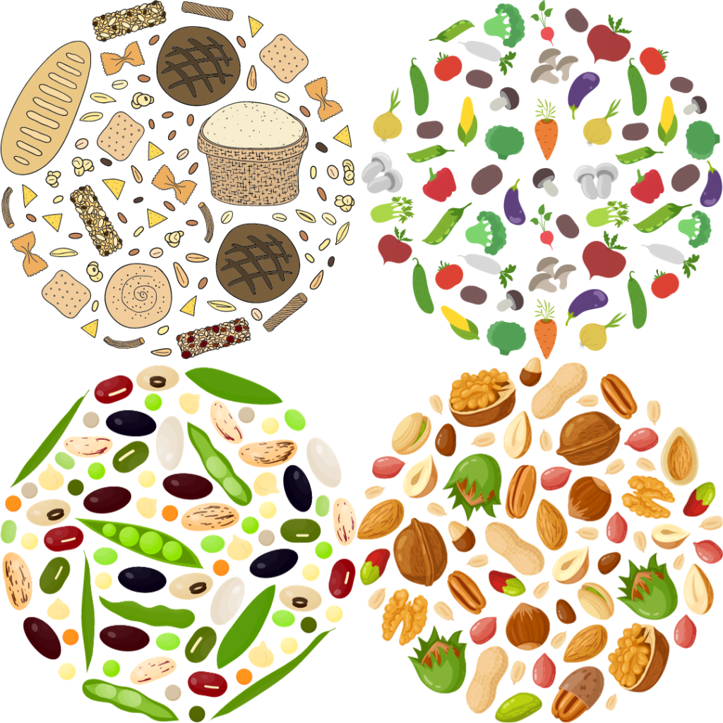 4 circles, one in each quadrant of a white square. Each circle is comprised of an assortment of foods: grains (top left), veggies (top right), legumes (bottom left), nuts and seeds (bottom right)
