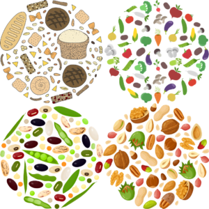 4 circles, one in each quadrant of a white square. Each circle is comprised of an assortment of foods: grains (top left), veggies (top right), legumes (bottom left), nuts and seeds (bottom right)
