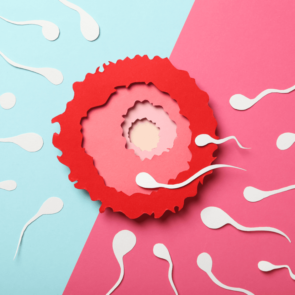 artistic rendering of an egg surrounded by sperm (paper-crafts like effect)