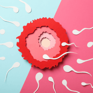 artistic rendering of an egg surrounded by sperm (paper-crafts like effect)